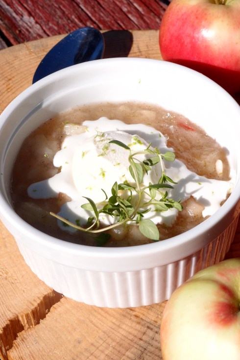 p8150897-e1376670162206