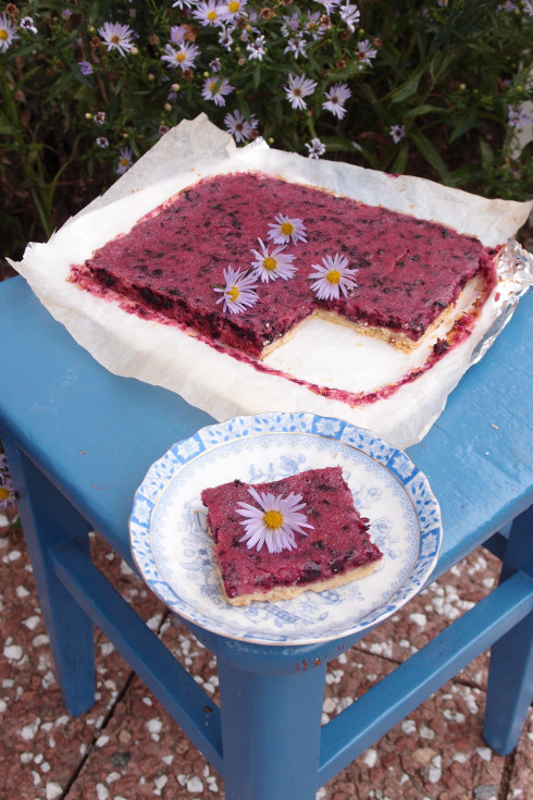 p8100677-e1376164445282